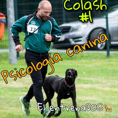 Psicología canina Psicología canina