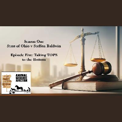 Season 1: State v Steffen Baldwin / Episode 5: Taking TOPS to the Bottom