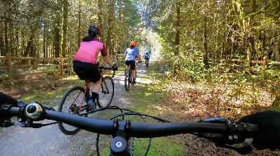 Like to bike? Your knees will thank you and you may live longer, too
