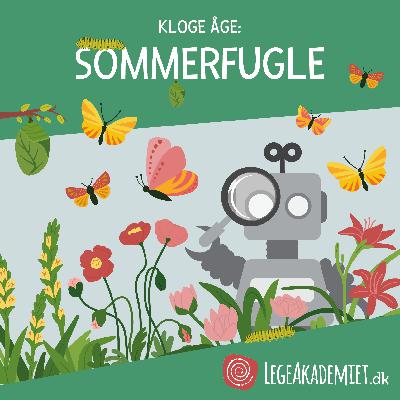 Kloge Åge fortæller om: Sommerfugle