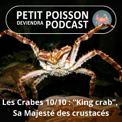 S04E40 Les Crabes : “King crab”, sa Majesté des crustacés