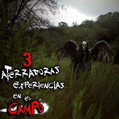 3 RELATOS PARANORMALES en el CAMPO ─ VOL 2