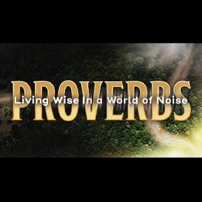Proverbs 3:9–10; 6:6–11; 11:28 :: Proverbs: Living Wise in a World of Noise Proverbs 3:9–10; 6:6–11; 11:28 :: Proverbs: Living Wise in a World of Noise