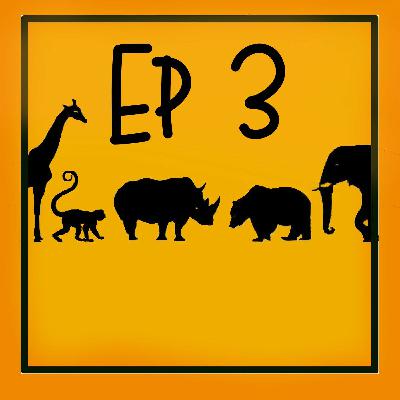 Ep3 La mente del pulpo,más increíble que ciencia ficción