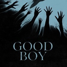Good Boy 2025 – The Quietest Horror You’ll Never Forget Good Boy 2025 – The Quietest Horror You’ll Never Forget