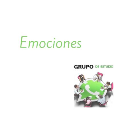 LAS EMOCIONES