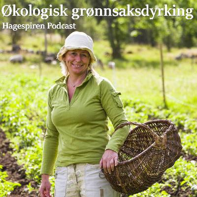 37/25: Økologisk grønnsaksdyrking med Hedda Kortnes