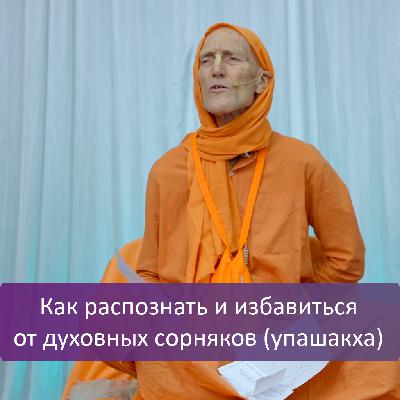 Как распознать и избавиться от духовных сорняков (упашакха) Как распознать и избавиться от духовных сорняков (упашакха)