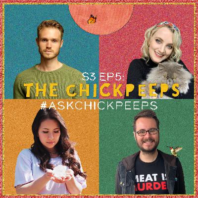 S3, Ep5: #AskChickPeeps
