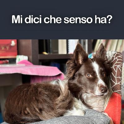 Mollare tutto o andare avanti?