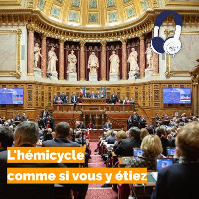 L'hémicycle comme si vous y étiez