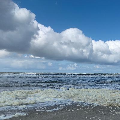De Waddenzee als samenloop van omstandigheden. Met marien ecologe Katja Philippart De Waddenzee als samenloop van omstandigheden. Met marien ecologe Katja Philippart
