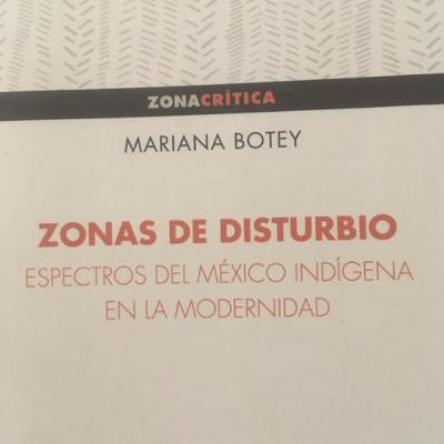 Zonas de disturbio de Mariana Botey. Comentario