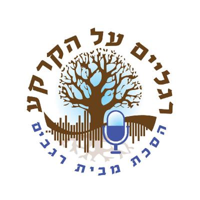 מהדורה מיוחדת: מהקמת רגבים ועד גיוס חרדים מהדורה מיוחדת: מהקמת רגבים ועד גיוס חרדים