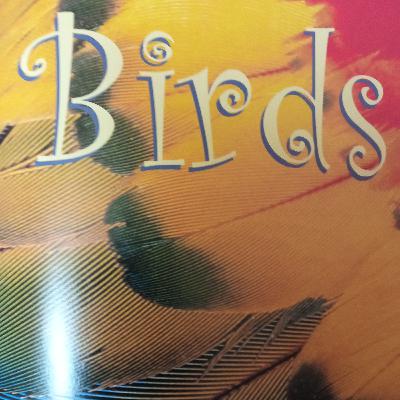 Birds, Scavenger Hunt, Early Birds, Take a Peek at Some Beaks