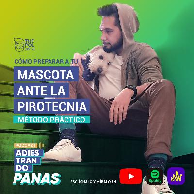 Cómo preparar a tu mascota ante la pirotecnia