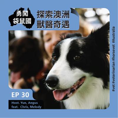 EP30 <勇闖袋鼠國>探索澳洲獸醫奇遇 Feat. Chris, Melody| 留學生在澳洲 EP30 <勇闖袋鼠國>探索澳洲獸醫奇遇 Feat. Chris, Melody| 留學生在澳洲