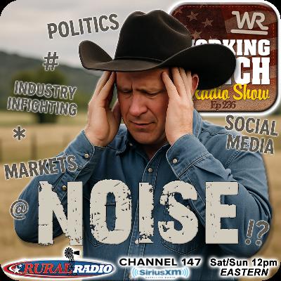 Ep 236: Cutting Through the Noise w/ Allan Crockett