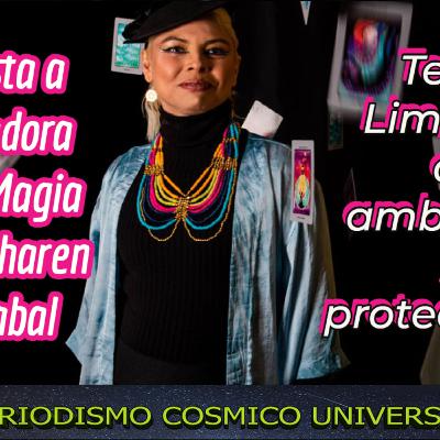 Entrevista a Kharen Ormazábal, Tema Limpieza de ambientes y protecciones