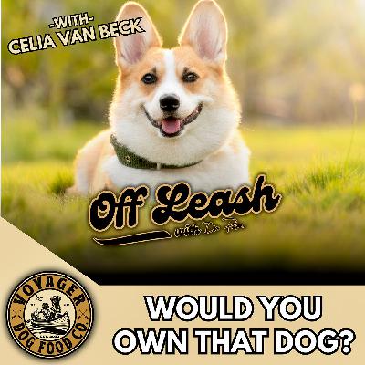 Would You Own That Dog?