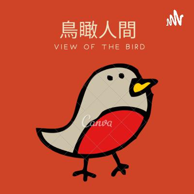 100集了你知道嗎！