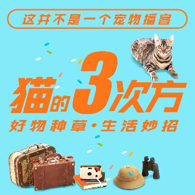 2023年一定要越过《山丘》呀！