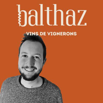 BALTIPS #1 : Les 3 choses sur le vin que j'aurais aimé qu'on m'explique dès le départ ! BALTIPS #1 : Les 3 choses sur le vin que j'aurais aimé qu'on m'explique dès le départ !