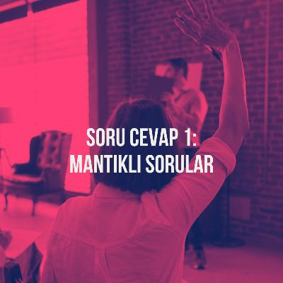 157. Soru Cevap 1: Mantıklı Sorular