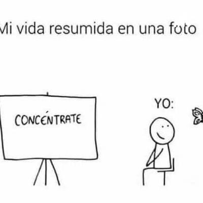 Motivación escolar en primaria