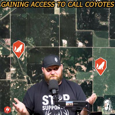 How to Get Permission to Hunt Coyotes