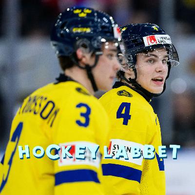 SHL:s bästa back? SHL:s bästa back?