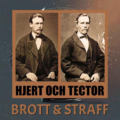 Hjert och Tector