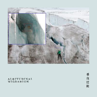 14 冰川里筑巢的小鸟