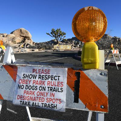 Joshua Tree National Park Nonprofit Concerned About Latest Government Shutdown
