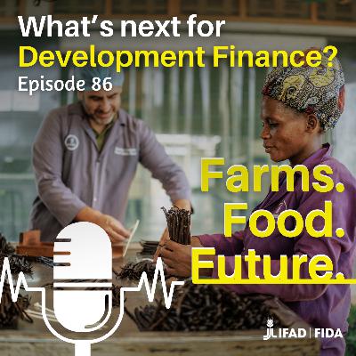 What’s next for development finance?