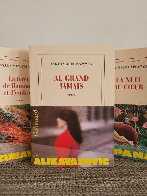 La Librairie des étudiants : Au grand jamais – Jakuta Alikavazovic La Librairie des étudiants : Au grand jamais – Jakuta Alikavazovic