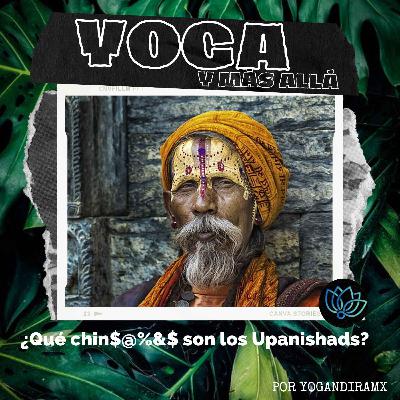 T1E14: ¿Qué chin$@%&$ son los Upanishads?