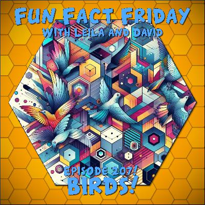 Episode 207 - Birds! Episode 207 - Birds!