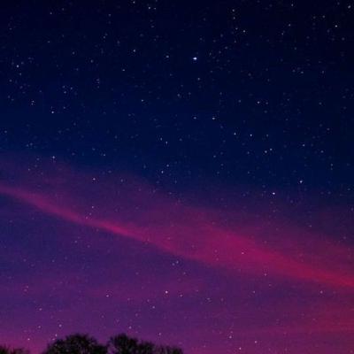 LOS POLLOS Y YO 🐤👩‍🦰