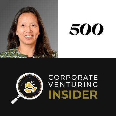 Navigating the Startup Galaxy: Networks, Diversity, Deal Flows, and Success