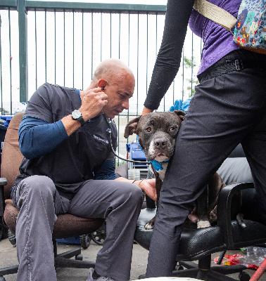 UNM grad named CNN Hero of the Year for his work as a street vet