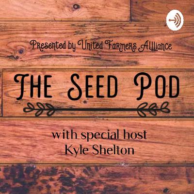 Compost and Worms Compost and Worms