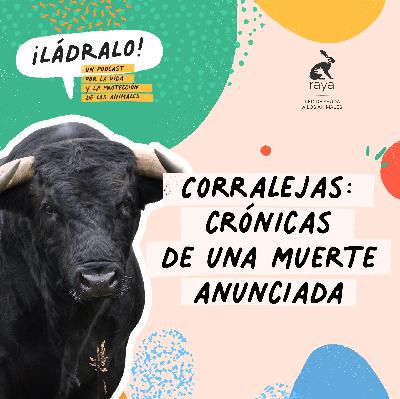 Temporada 14 - Corralejas: crónicas de una muerte anunciada