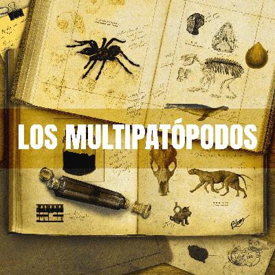 Capítulo #78 - Los multipatópodos (Selección), de Yosa Vidal