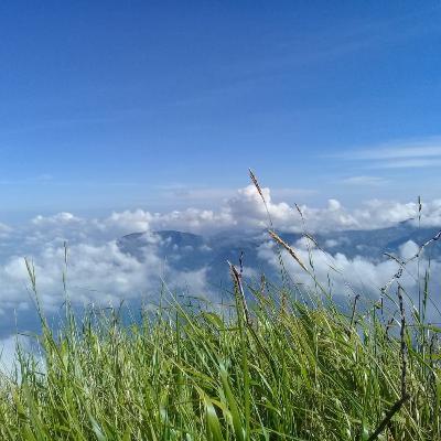 Rindu