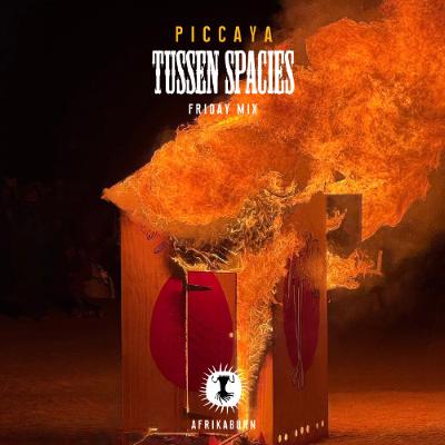 Live @ Tussen Spacies // AfrikaBurn 2025 (Friday Mix)