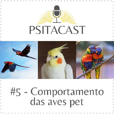 Psitacast #5 - Comportamento das aves pet Psitacast #5 - Comportamento das aves pet