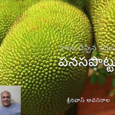 Panasa Pottu (పనస పొట్టు)