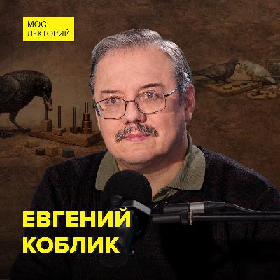 Как развит интеллект у птиц? - орнитолог Евгений Коблик