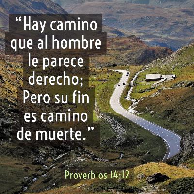 45 - Joyas de Sabiduría - Los caminos y sus caminantes [Proverbios 14:12, 14-16]